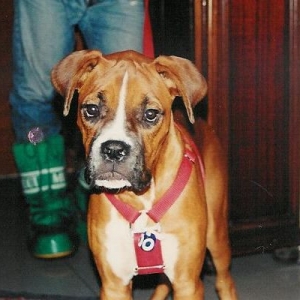 Krose when he was 4 months old