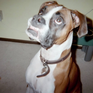 Mommy's favorite face