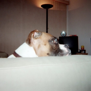 What do you think your doing?