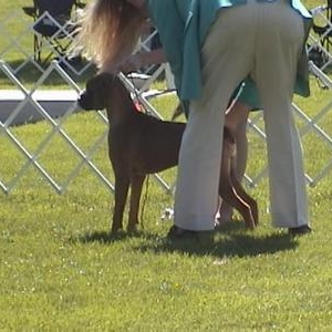 Ruby's first show weekend