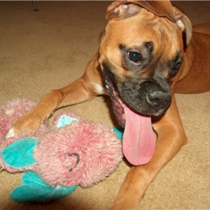 my what a big tongue you have
