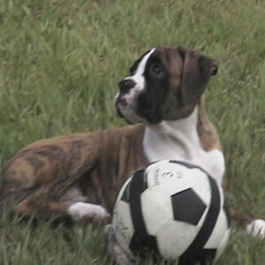 Soccer Girl!