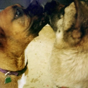 Kisses for Everyone!