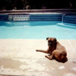 Sun Bather