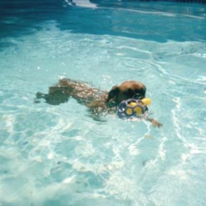 Swimming Girl