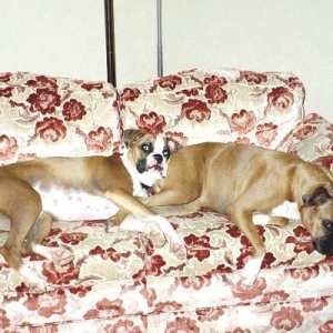 Duke and Didi