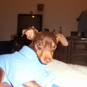 Tyson on his third day home