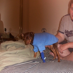 Tys in his sexy blue polo!