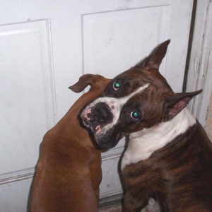 Let us in Dad!