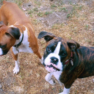 Who's the cutest!