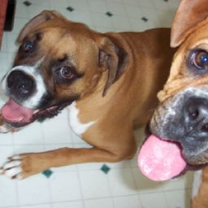 Bella and Max's first day together!