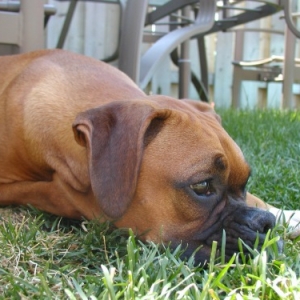 Deep In Thought
