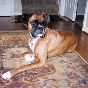 Posing for a picture