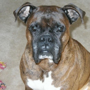 Pretty Archie