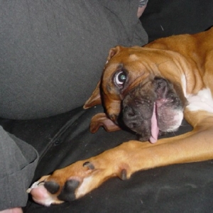 Like my tongue?