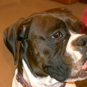 Beanie's mug shot