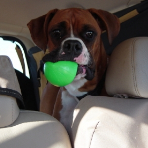 Are we there yet?