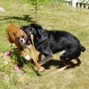 More playing