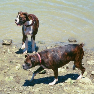 Mason & Nikki coming out of the water