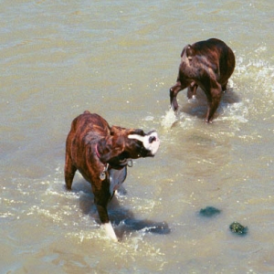 Mason & Nikki cool off