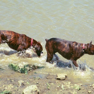 Mason & Nikki in the water