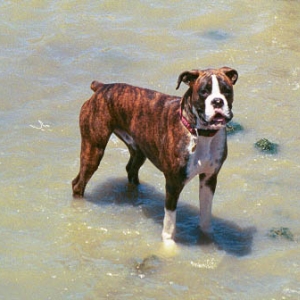 Mason the waterbaby