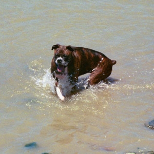 Nikki cooling off