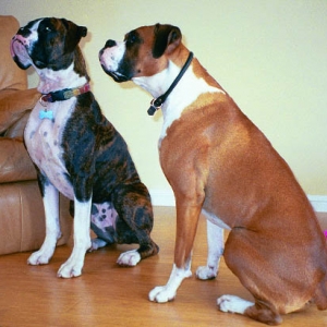 Mason & Sampson posing