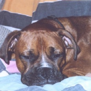 Pooped Out