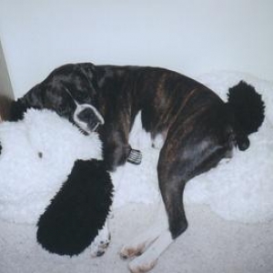 Beanie finds true love