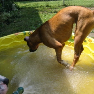Jumpin' Zoe