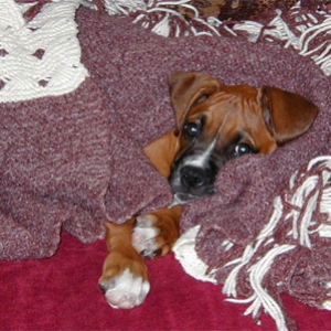 Ellie at 11 Weeks