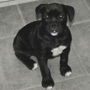 Coal @ 10 weeks