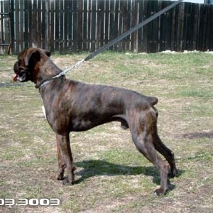 Kann 10 mo