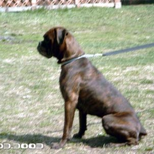 Kann 10 mo