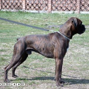 Kann 10 mo