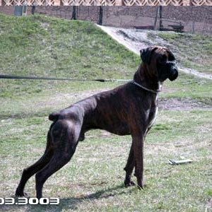 Kann 10 mo