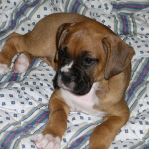 Our New Girl, Tia