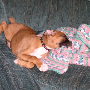 Taking a Nap