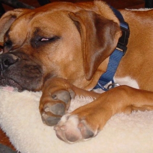 "Knocked Out"