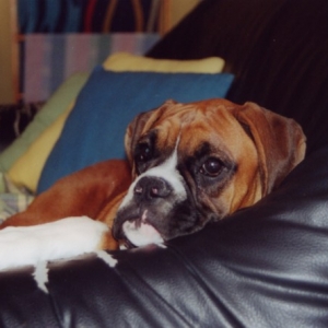 reclining