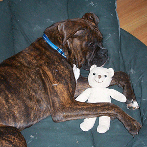 Vegas and his Baby