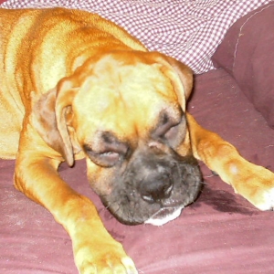 My poor baby