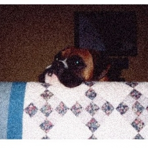 gnarlyOnCouch