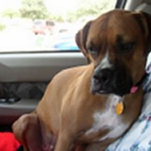 Annie heading to her new home!