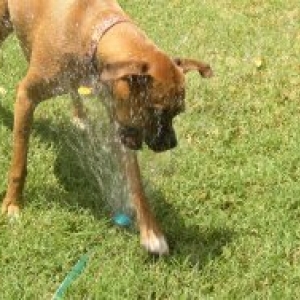 Annie's getting cooled off!
