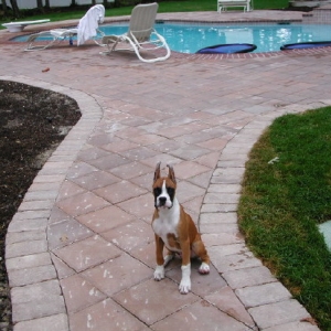 Guarding the pool
