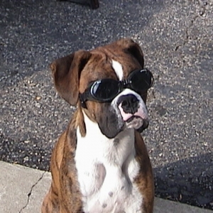 Parker sporting his Doggles
