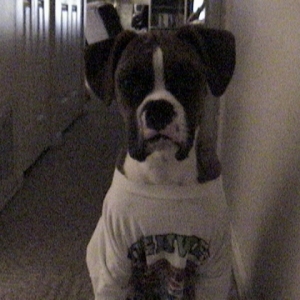 OK dad Im ready for the softball game