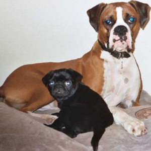 Lucy and Sampson